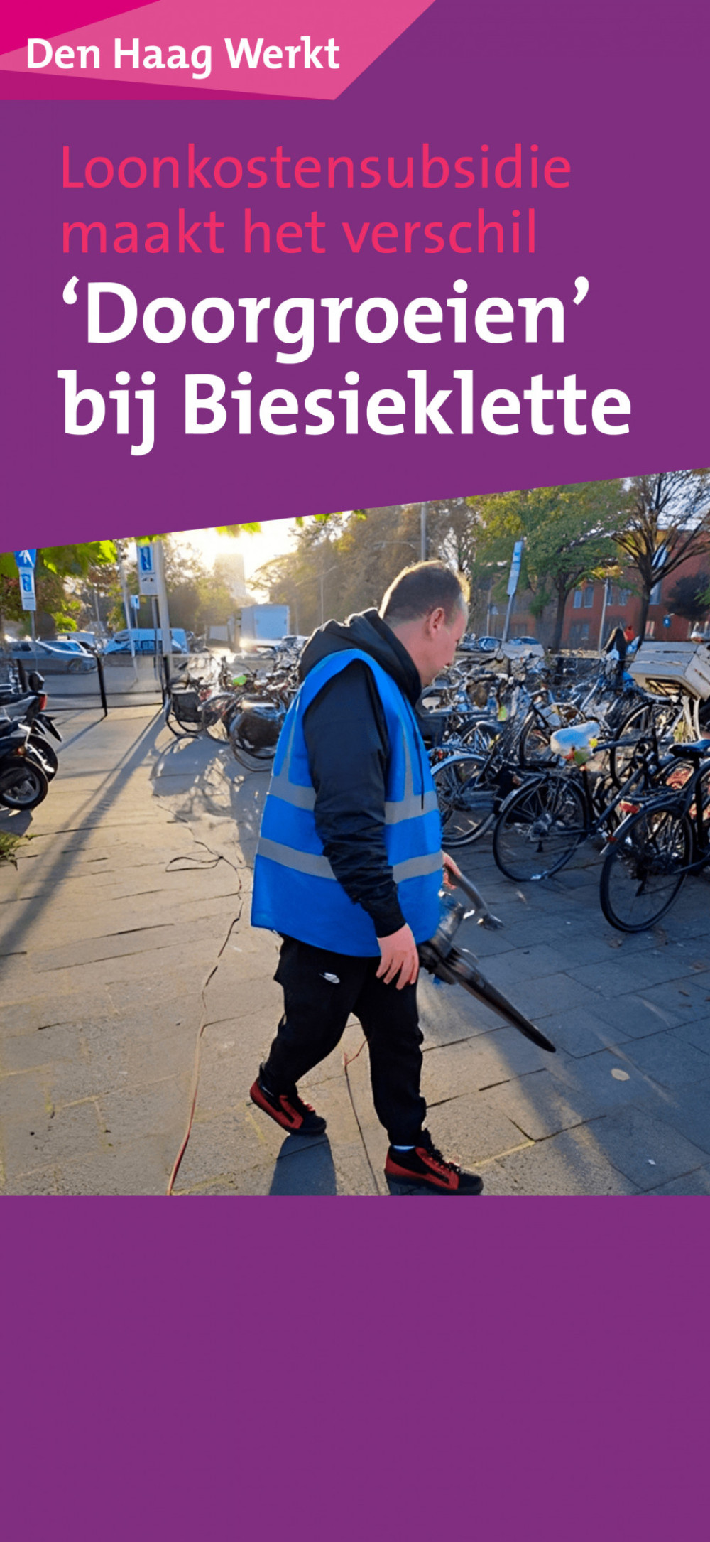 header afbeelding artikel