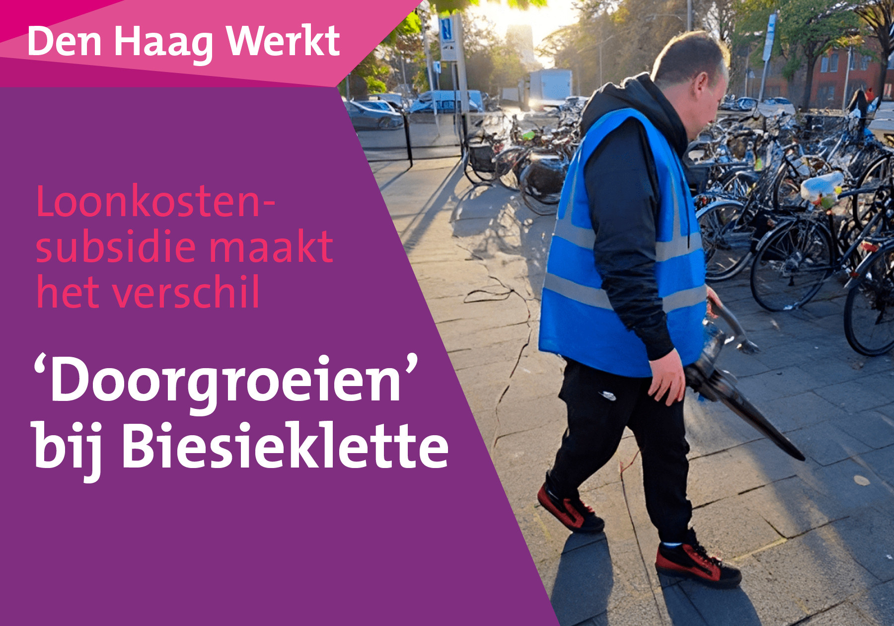 header afbeelding artikel