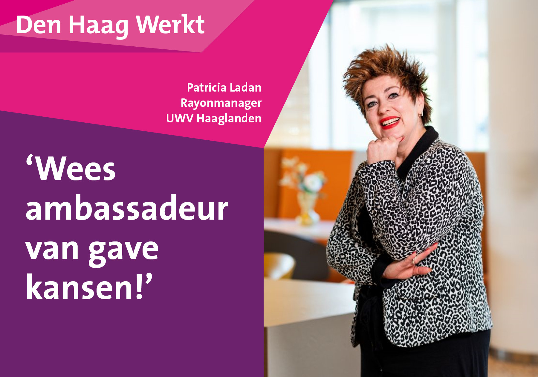 header afbeelding artikel